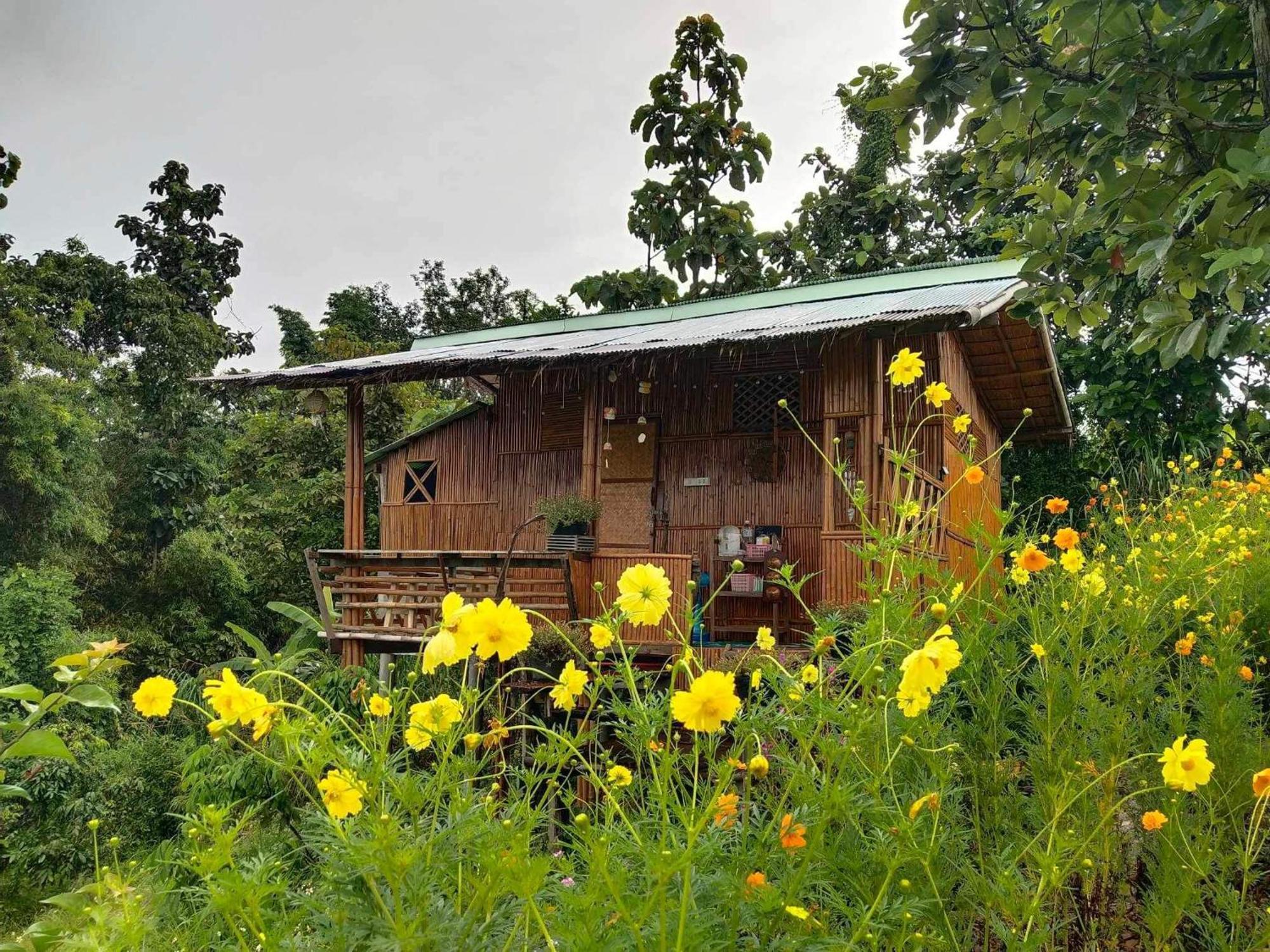Baan 2 Dao Farmstay Chiang Dao Exterior photo